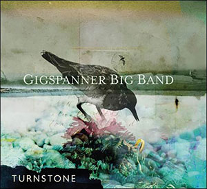 Review of Turnstone